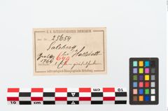 Etikett zu Eisengürtelhaken (NHMW-PRAE-025654)